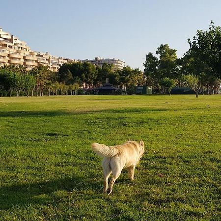 Primera Linea Acapulco III Oropesa del Mar Zewnętrze zdjęcie